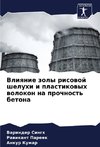 Vliqnie zoly risowoj sheluhi i plastikowyh wolokon na prochnost' betona