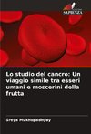 Lo studio del cancro: Un viaggio simile tra esseri umani e moscerini della frutta