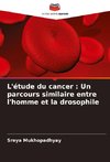 L'étude du cancer : Un parcours similaire entre l'homme et la drosophile