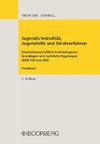 Jugendkriminalität, Jugendhilfe und Strafverfahren