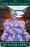 My One Night Alien