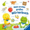 Mein erstes großes Wörterbuch