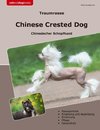 Traumrasse Chinese Crested Dog