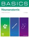 BASICS Neuroanatomie