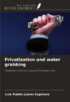 Privatization and water grabbing