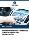 Selbstfahrendes Fahrzeug - Hoffnungen und Bedürfnisse