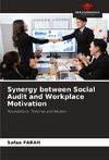 Synergy between Social Audit and Workplace Motivation