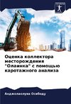 Ocenka kollektora mestorozhdeniq 