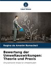Bewertung der Umweltauswirkungen: Theorie und Praxis