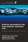 Análisis paramétrico del flujo bifásico mediante CFD