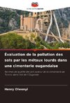 Évaluation de la pollution des sols par les métaux lourds dans une cimenterie ougandaise