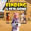 Finding A New Home
