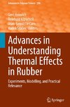 Advances in Understanding Thermal Effects in Rubber