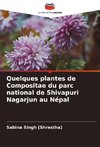 Quelques plantes de Compositae du parc national de Shivapuri Nagarjun au Népal