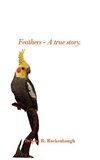 Feathers - A true story.