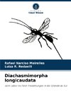 Diachasmimorpha longicaudata