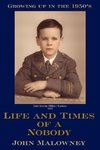Life and Times of a Nobody