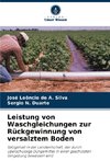 Leistung von Waschgleichungen zur Rückgewinnung von versalztem Boden