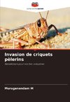 Invasion de criquets pèlerins