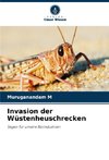 Invasion der Wüstenheuschrecken