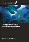Campylobacter - Panorama general