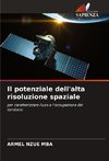 Il potenziale dell'alta risoluzione spaziale
