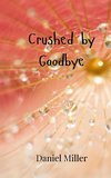 Crushed by Goodbye