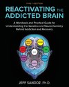 Reactivating the Addicted Brain