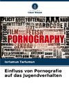 Einfluss von Pornografie auf das Jugendverhalten