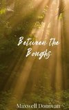 Between the Boughs
