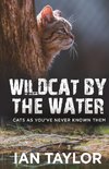 Wildcat By The Water