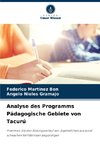 Analyse des Programms Pädagogische Gebiete von Tacurú