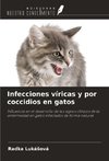 Infecciones víricas y por coccidios en gatos