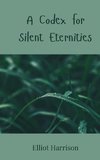 A Codex for Silent Eternities