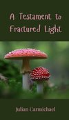 A Testament to Fractured Light