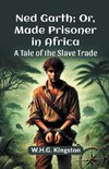 Ned Garth; Or, Made Prisoner in Africa A Tale of the Slave Trade
