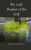The Last Shadow of the Soul