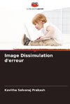 Image Dissimulation d'erreur