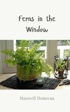 Ferns in the Window