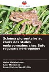 Schéma pigmentaire au cours des stades embryonnaires chez Bufo regularis hétéroploïde