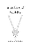 A Necklace of Possibility