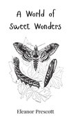 A World of Sweet Wonders