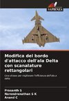 Modifica del bordo d'attacco dell'ala Delta con scanalature rettangolari