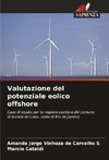 Valutazione del potenziale eolico offshore