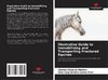 Illustrative Guide to Immobilising and Transporting Fractured Equines