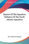 Reprint Of The Squadron Bulletins Of The North Atlantic Squadron