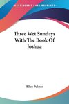 Three Wet Sundays With The Book Of Joshua