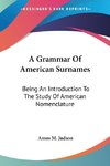 A Grammar Of American Surnames