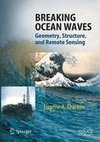 Breaking Ocean Waves