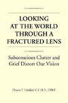 Looking at the World Through a Fractured Lens